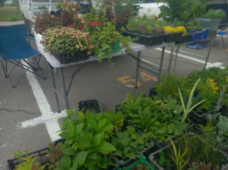 В Хабаровском парке Гагарина пройдет ярмарка выходного дня