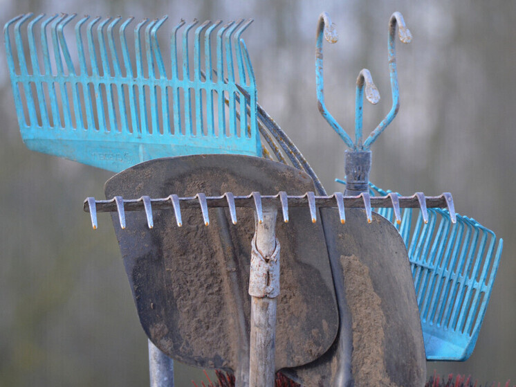 Воспитатели детсада прогнали наркомана граблями во Владивостоке