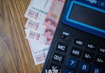 Система поддержки малого и среднего предпринимательства в Забайкальском крае показывает положительные тенденции, но сталкивается с рядом системных проблем