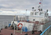 В Красноярском крае в рамках программы приватизации на аукцион выставлен пассажирский теплоход «Станислав Гуменюк»