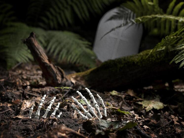 1348-й: год, когда чума, землетрясения и погромы едва не уничтожили Европу