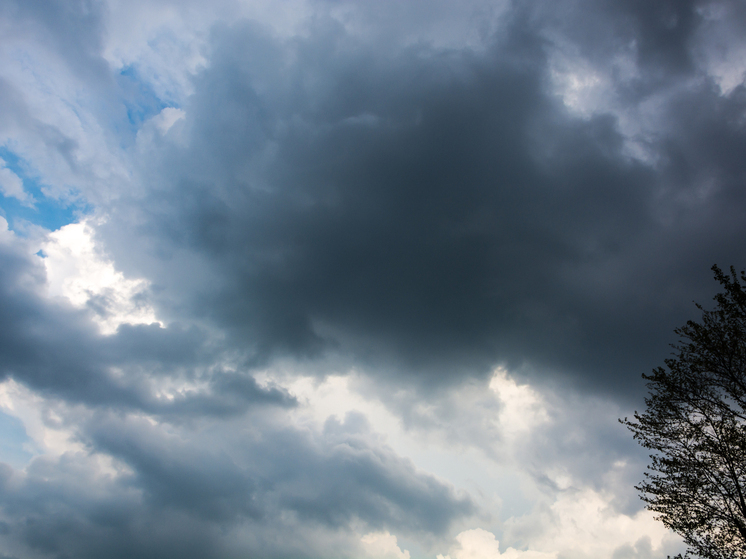 Из-за ливней и ветра в Томской области объявили штормовое предупреждение