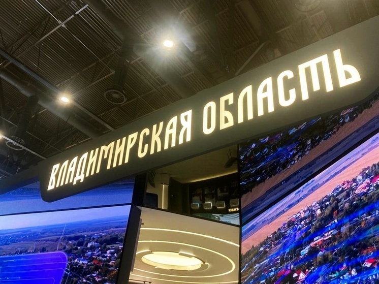 В стадион "Торпедо" во Владимире хотят инвестировать 5 млрд рублей