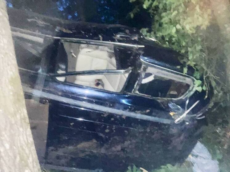 ДТП с деревом привело к гибели пассажира и травмам девочки в Валдайском округе
