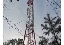 МТС сообщает об усилении сети LTE в садоводческом товариществе «Южное» в пригороде Краснокаменска