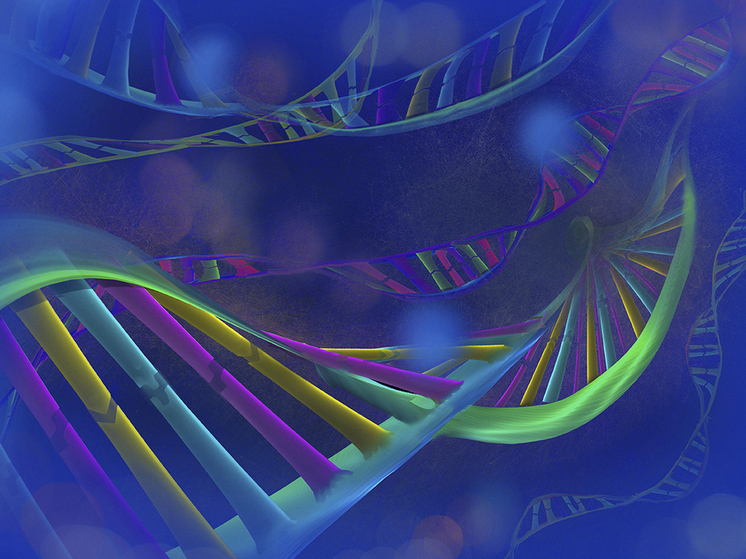 Найденный в Китае доисторический череп пролил свет на древних родственников человека