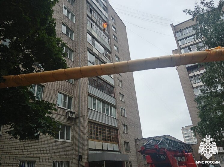 Пожарные Череповца спасли кота из горящей квартиры