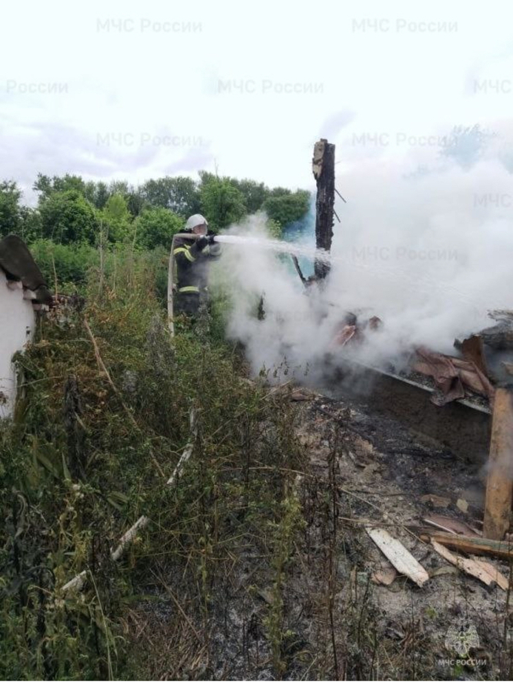 В орловской деревне Гнилуша сгорел дачный дом