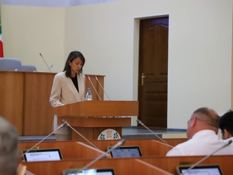 Депутаты Хакасии отметили, что статистика не отражает реальные проблемы здравоохранения