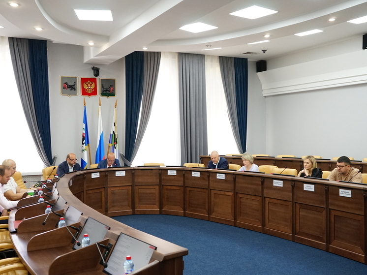 Комиссия думы Иркутска обсудила использование Дома быта