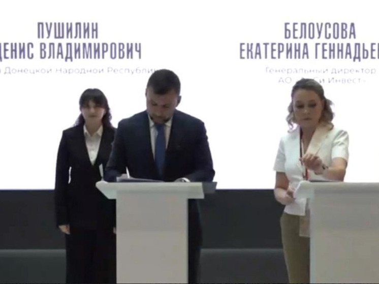 Пушилин: В Донецке планируется возведение квартала «Белый лебедь» с развитой инфраструктурой