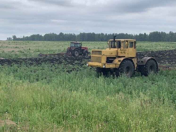 В Ишиме спасли от запустения тысячи гектаров сельхозземель