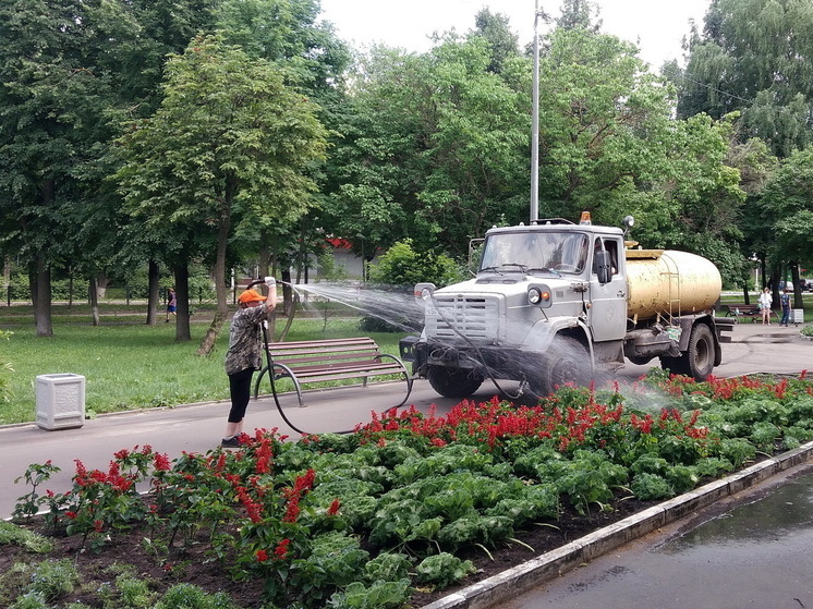 Содержанием зеленых зон Йошкар-Олы займется отдельный подрядчик
