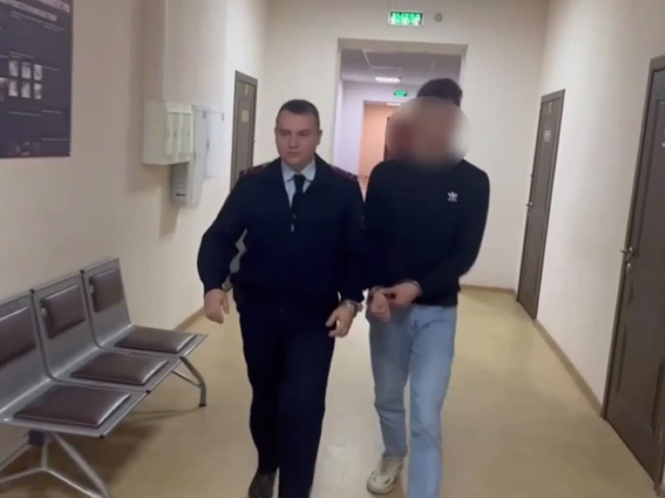 Жителю Дзержинского предъявили обвинение в убийстве девушки