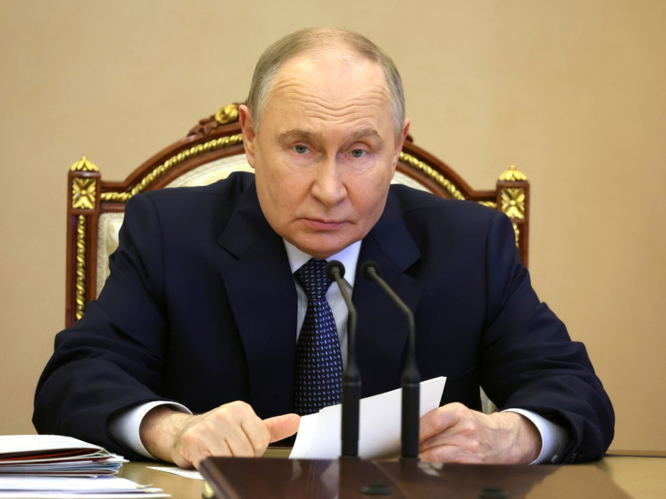 Bloomberg отметило рассказ Путина о внучке, говорящей по-китайски