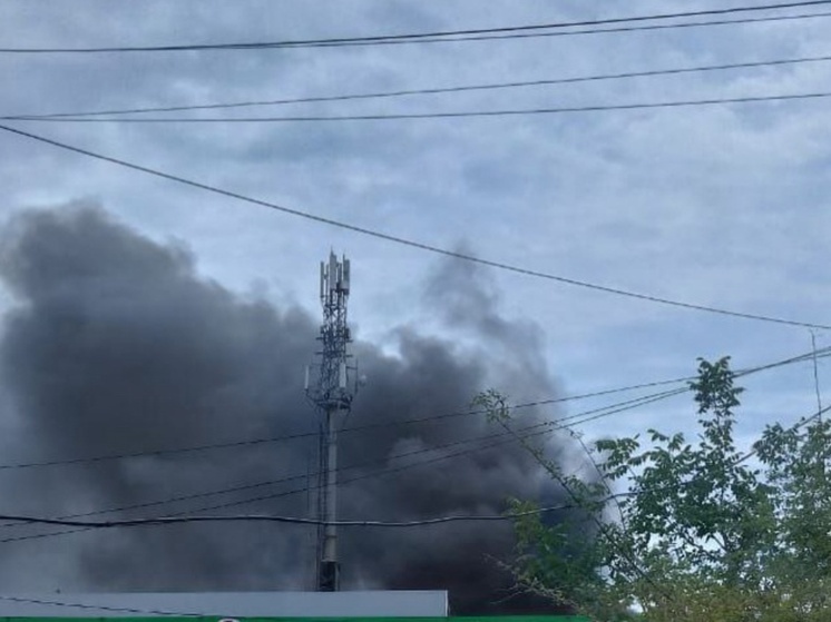 Почти 100 человек тушат крупный пожар в цеху металлоприемника в Шахтах