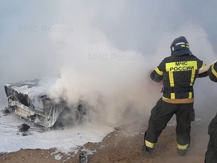 В херсонском селе Большевик сгорела легковушка