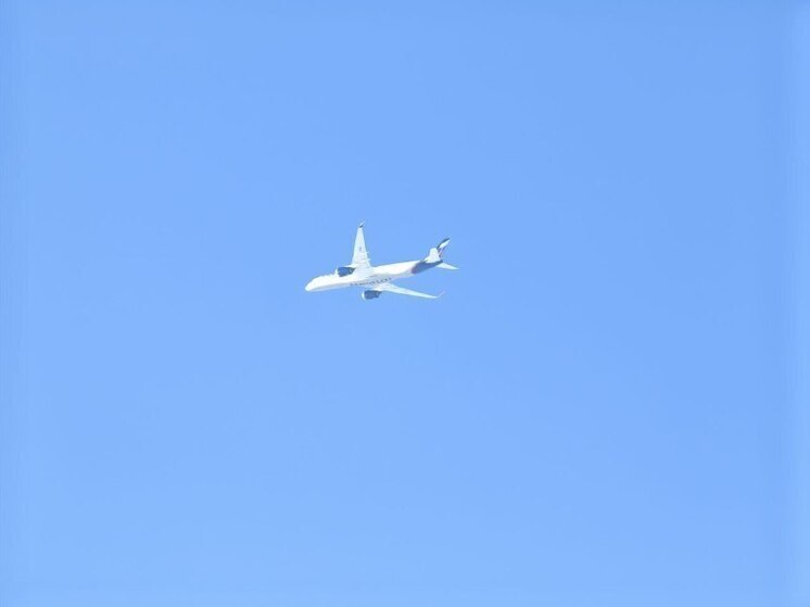 Хабаровские таможенник чаще всего находят у авиапассажиров алкоголь, ножи и валюту