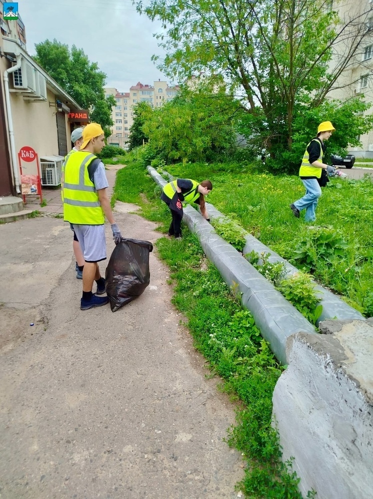 В Орле в молодёжных экологических отрядах трудятся 145 экоактивистов