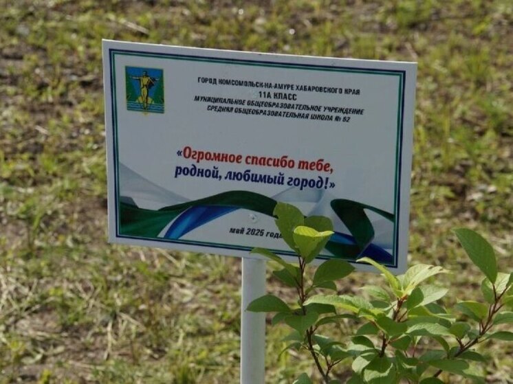 Выпускники подарили Комсомольску-на-Амуре новый сквер