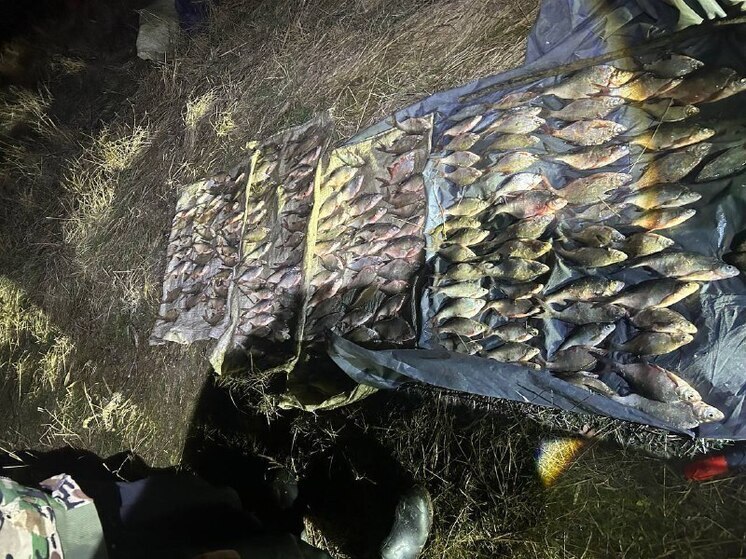 Жителя Северского района осудят по подозрению в нелегальной ловле 258 особей разных видов рыб