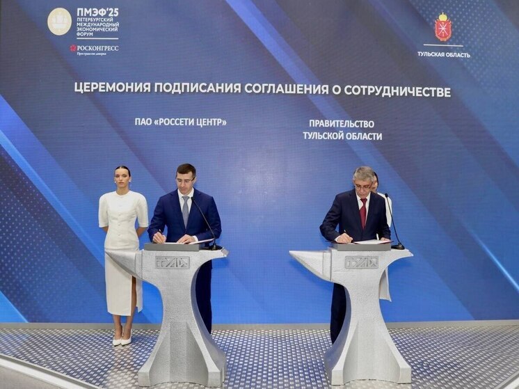 Правительство Тульской области и «Россети Центр» объединяют усилия для развития электросетевого комплекса региона