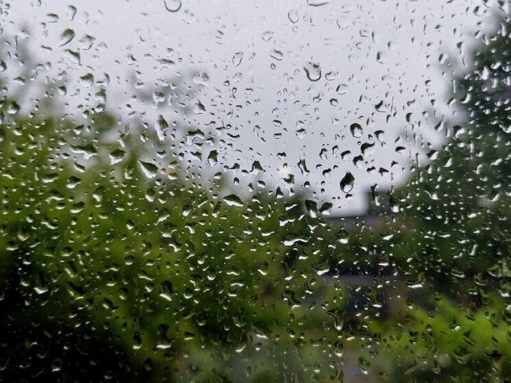 Синоптики предупредили жителей Биробиджана о сильных дождях