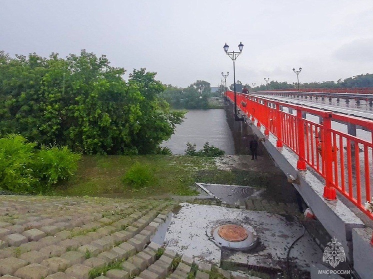 Тело утонувшего мужчины достали из реки Тобол в Кургане