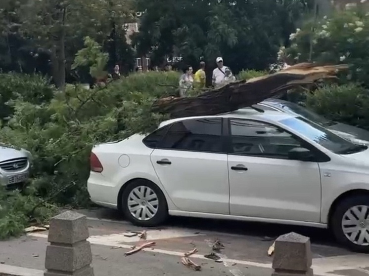 A giant tree fell on a parked car in the center of Rostov due to strong winds