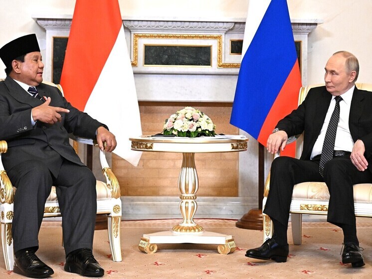 Владимир Путин встретился с лидером Индонезии в Петербурге