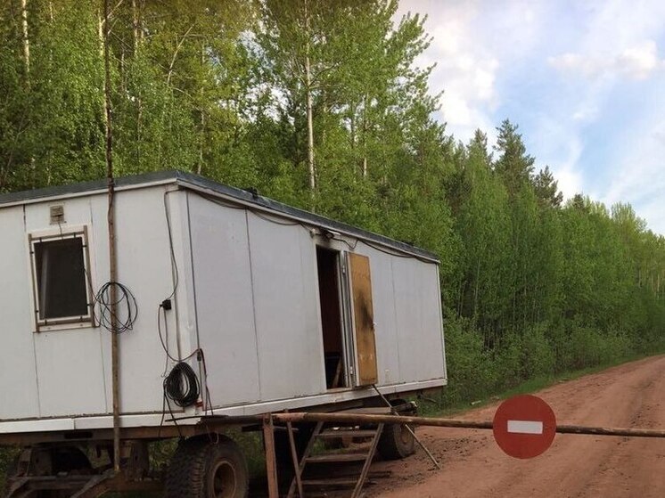 В лесах Иркутской области снова ограничат пребывание граждан
