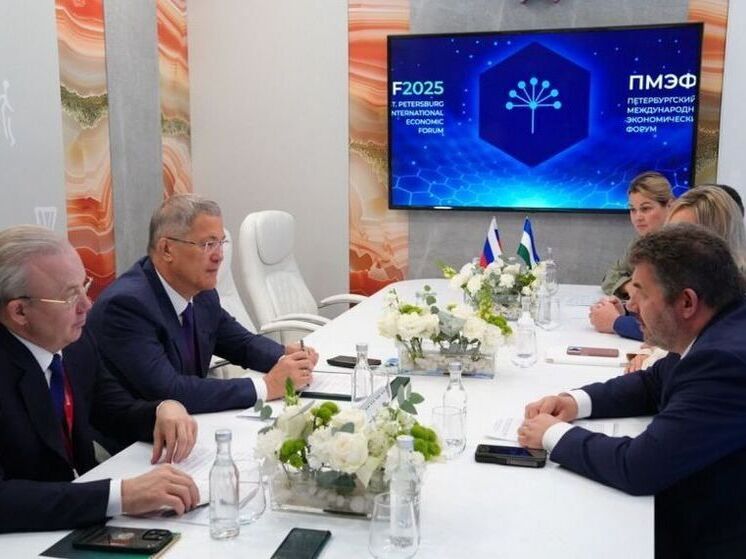 Радий Хабиров встретился с руководителем Роснедр Олегом Казановым