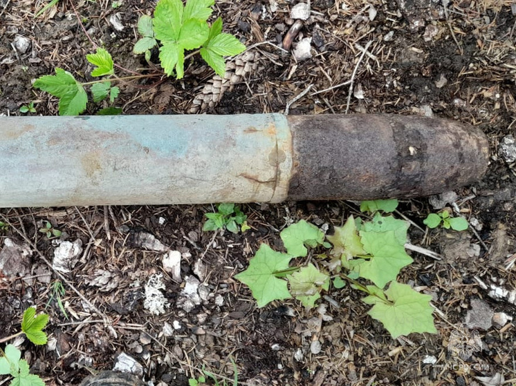 В Медыни слышали взрыв артснаряда