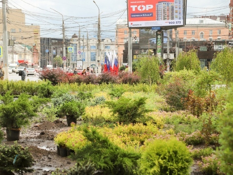 В Туле на пересечении Советской с Красноармейским разбили зеленый уголок