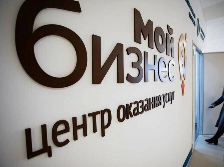 Двадцать шесть миллионов рублей выдал бизнесу ЛНР центр "Мой бизнес"