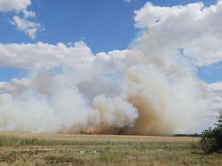 Фермеры остановили пожар на высохшем озере в Каховском районе