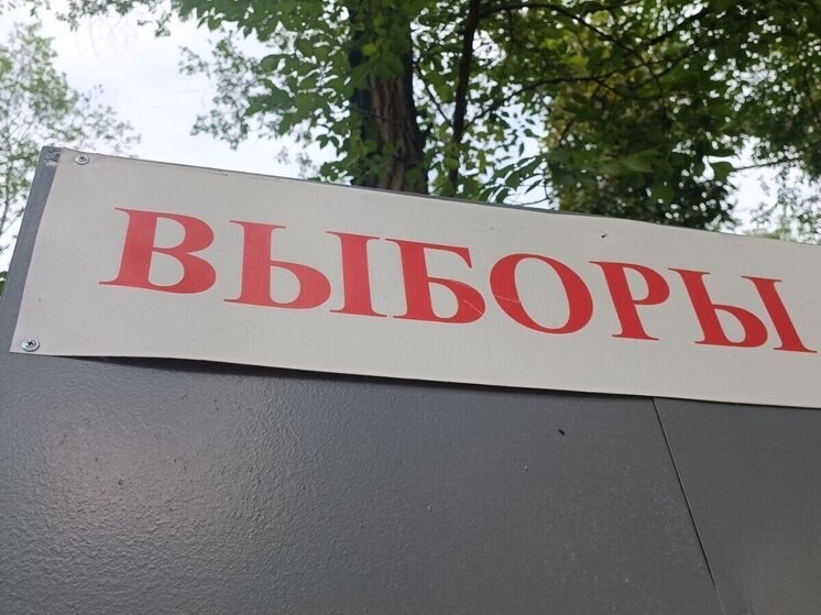 Шесть кандидатов на пост губернатора ЕАО подали документы