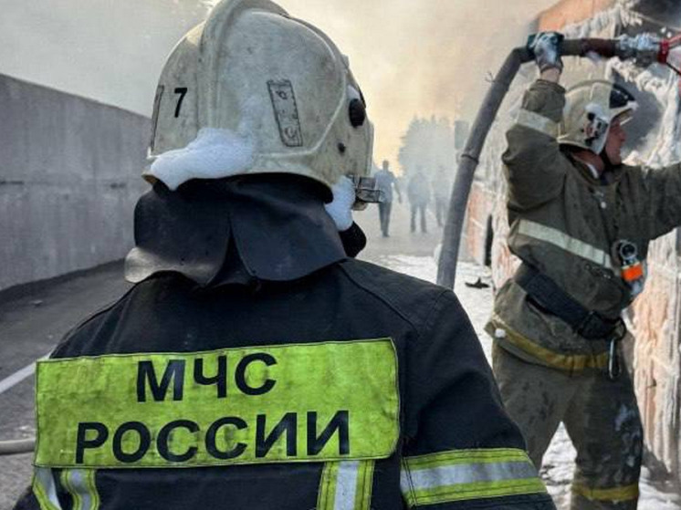 В алтайском селе огонь охватил гараж с автомобилем внутри