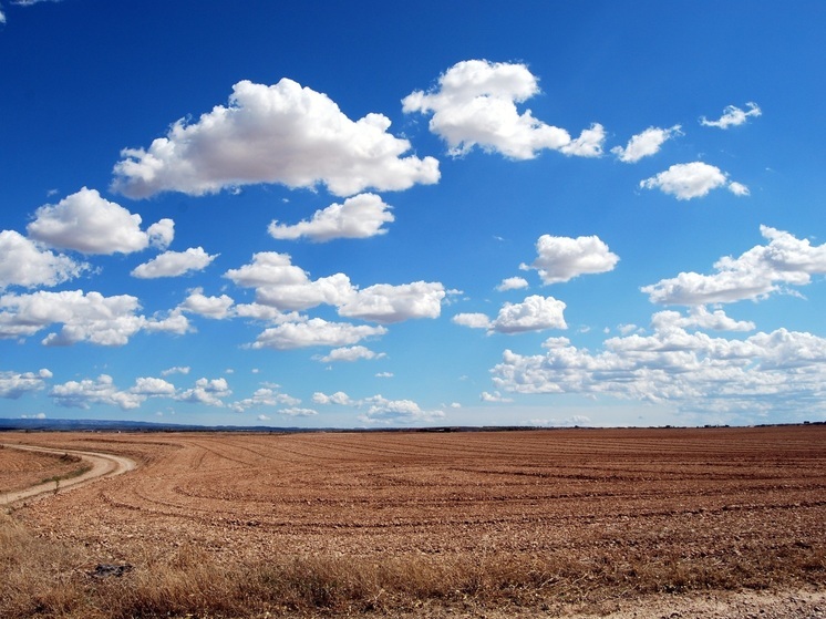 7 жилых помещений приобретается в селе Ома