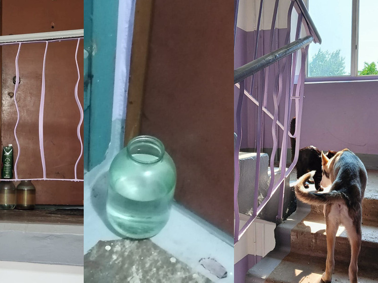 «Живем как в аду»: жители дома на Бородинской во Владивостоке страдают от «страшной квартиры»