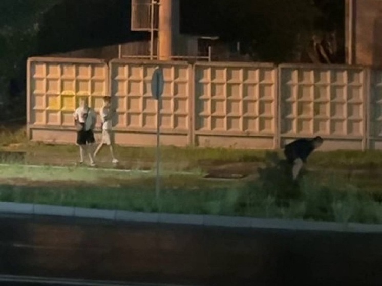 В Абакане разгоряченная молодежь надругалась над сосной