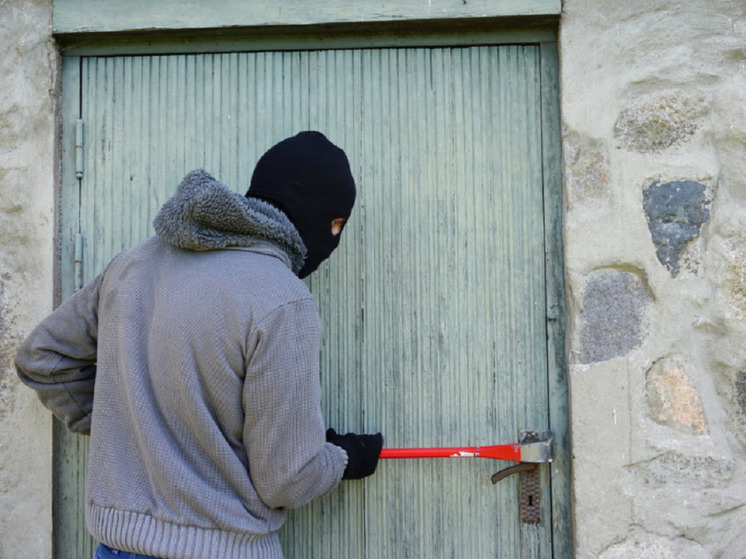 Инструменты, техника и машинка для стрижки: в Алтайском крае рецидивист обнес дом сельчанки