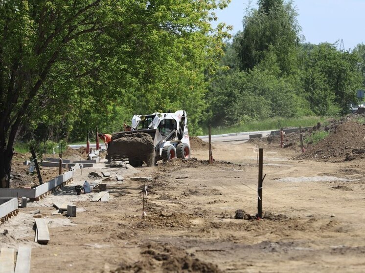 Ход благоустройства «Аллеи Здоровья» проверил мэр Иркутска Руслан Болотов