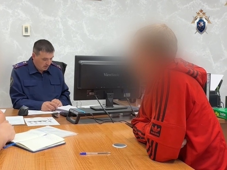 Мужчина из Салехарда всадил нож в сердце собутыльнику и попал под следствие