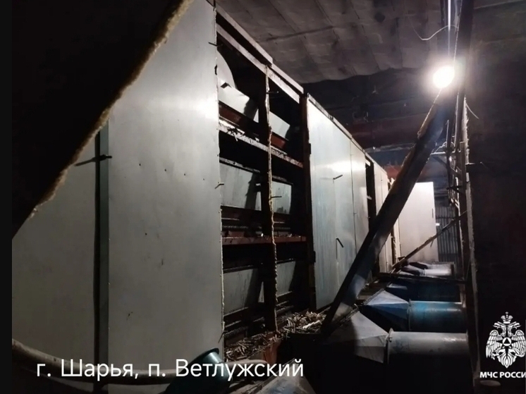 Костромские пожарные оперативно ликвидировали пожар в пригороде Шарьи