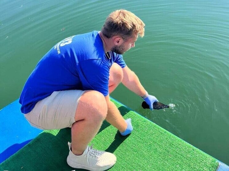 Роспотребнадзор: санитарным нормам соответствуют четыре пляжа Хакасии