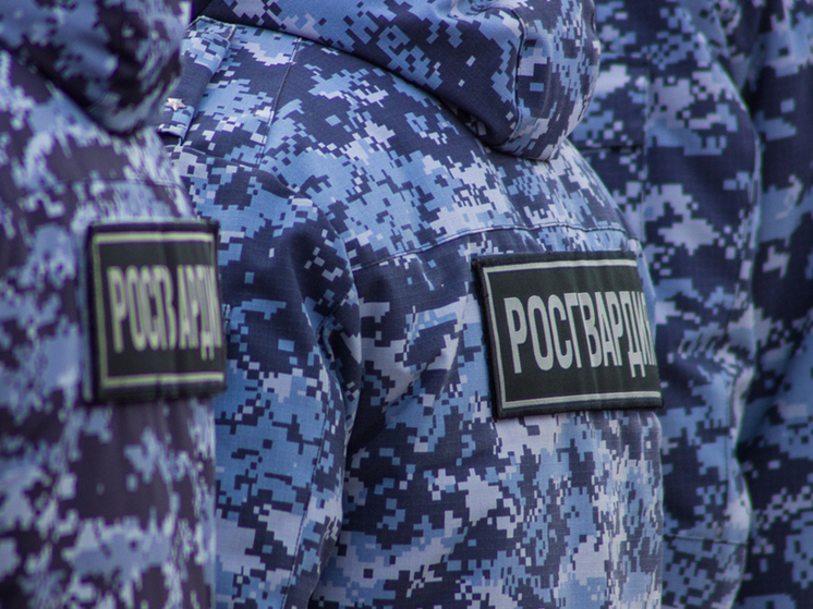 Под Тулой росгвардейцы задержали мигранта, гулявшего по городу с ружьём