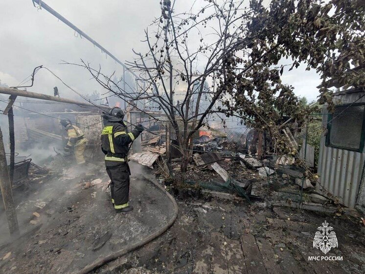 Три пожара зафиксировали в Тульской области за сутки