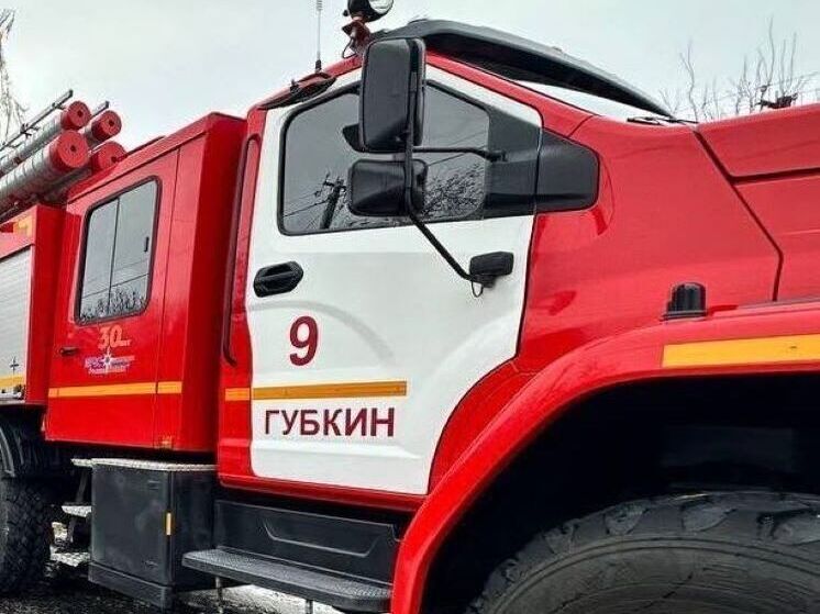 В Губкине огонь от горящей мусорки перекинулся на магазин