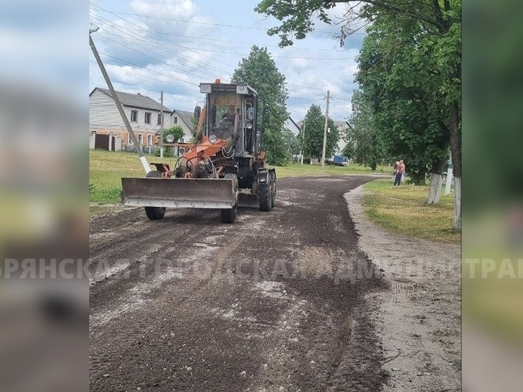 Глава Бежицкого района взяла на контроль ситуацию в Радице-Крыловке